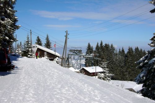 19. Februar 2009
