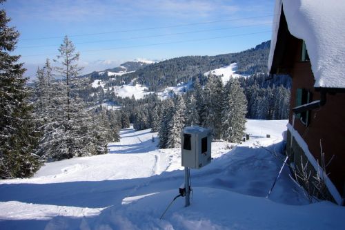 19. Februar 2009
