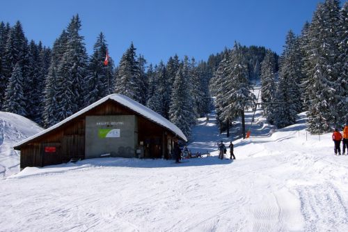 19. Februar 2009

