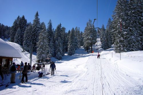 19. Februar 2009
