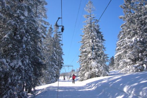 19. Februar 2009
