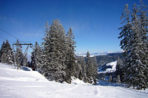19. Februar 2009
