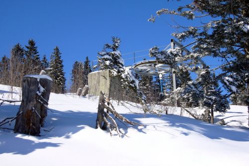 19. Februar 2009
