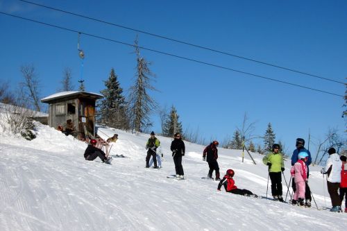 19. Februar 2009
