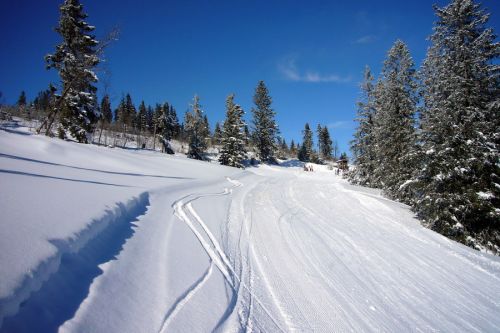 19. Februar 2009
