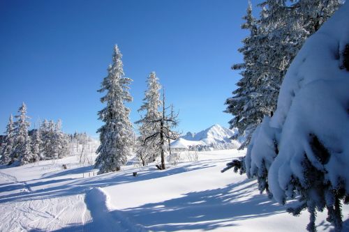 19. Februar 2009
