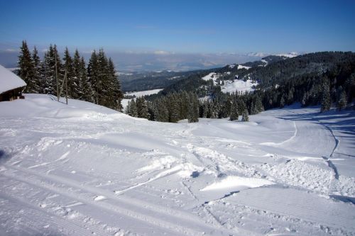 19. Februar 2009
