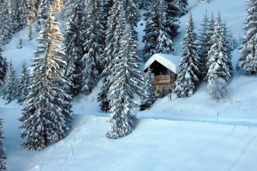 Soooo viel Schnee...
