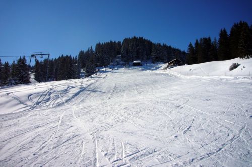 19. Februar 2009
