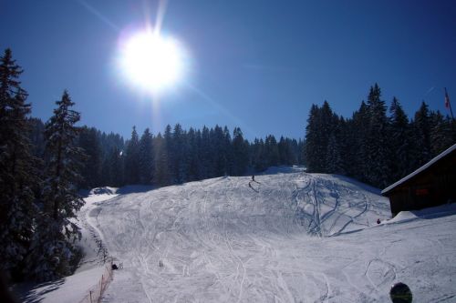 19. Februar 2009
