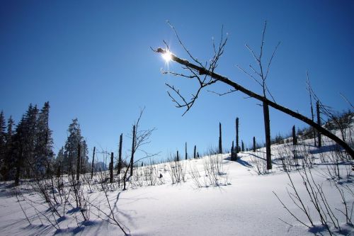 19. Februar 2009
