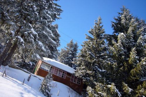 19. Februar 2009
