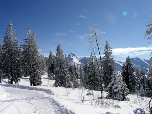 Spaziergang um die Ecke zum Skilift Otteleuebad
