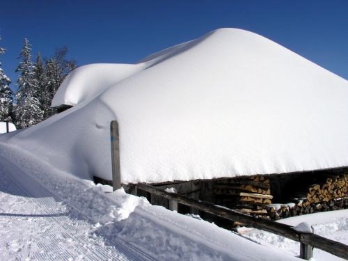 19. Februar 2009
