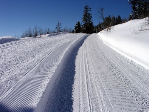 19. Februar 2009
