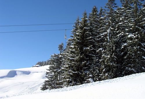 19. Februar 2009

