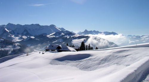 19. Februar 2009
