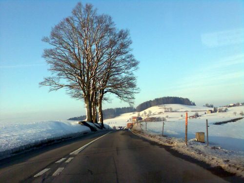 19. Februar 2009
