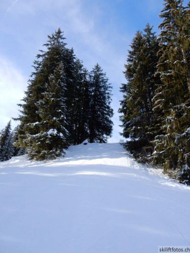 Selital, 8. Februar 2019
