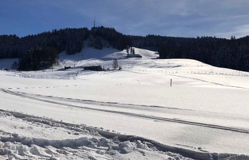 20190206-gibloux-008.jpg