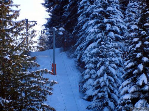 20190206-gibloux-013.jpg
