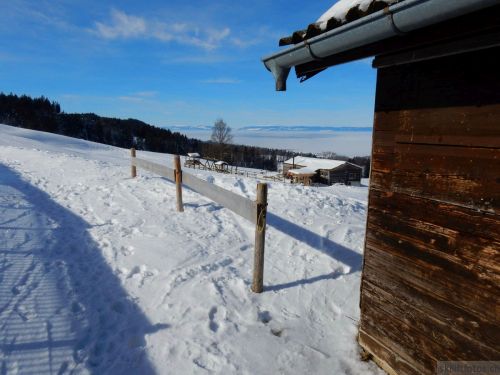 20190206-gibloux-039.jpg