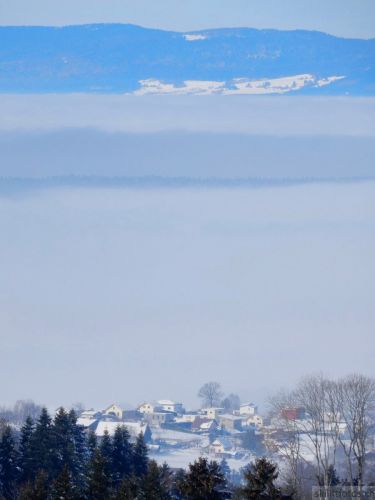 20190206-gibloux-041.jpg