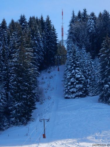 20190206-gibloux-045.jpg