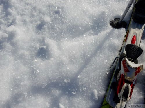 20190206-gibloux-052.jpg
