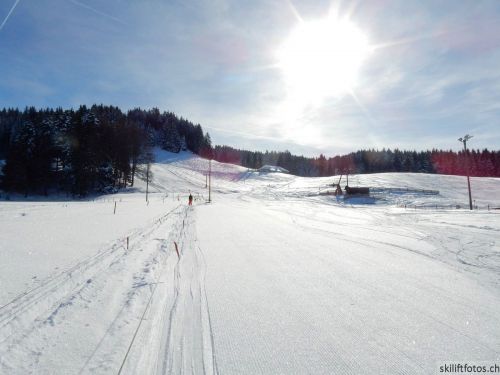 20190206-gibloux-059.jpg