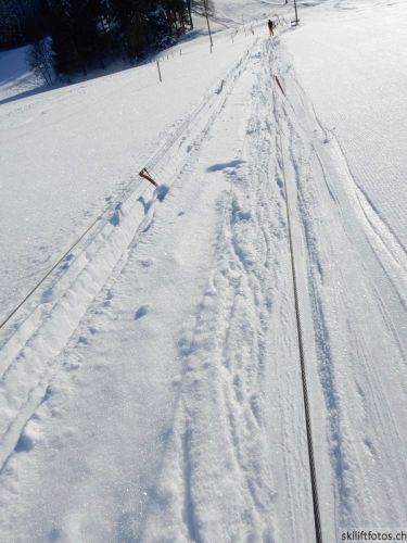 20190206-gibloux-060.jpg