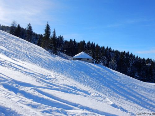 20190206-gibloux-076.jpg