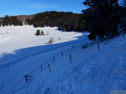 20190206-gibloux-079.jpg