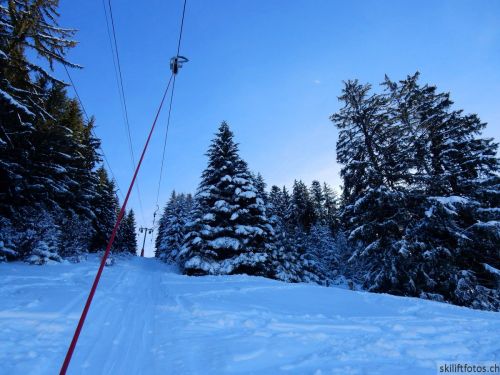 20190206-gibloux-080.jpg