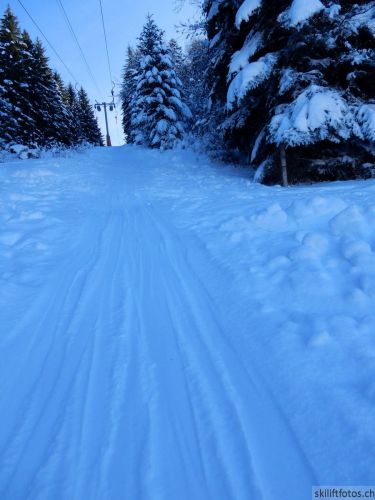 20190206-gibloux-082.jpg