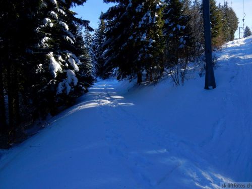 20190206-gibloux-092.jpg