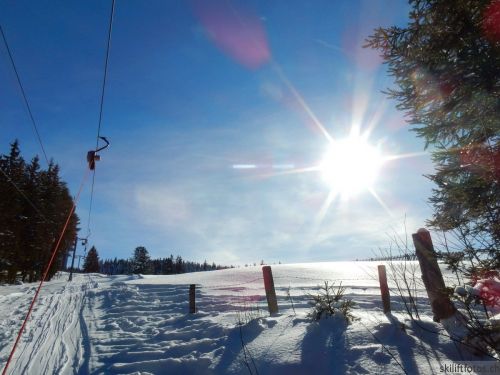 20190206-gibloux-097.jpg