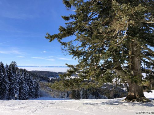 20190206-gibloux-117.jpg
