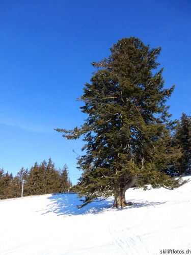 20190206-gibloux-121.jpg