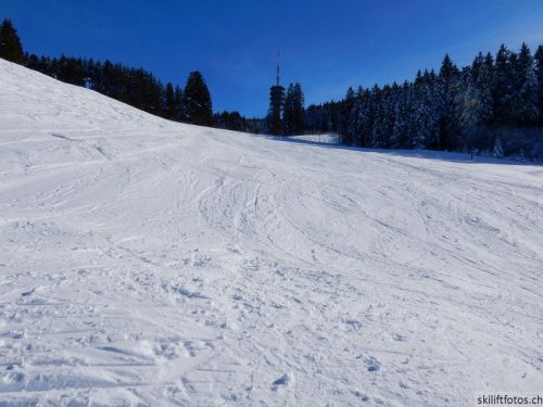 20190206-gibloux-125.jpg