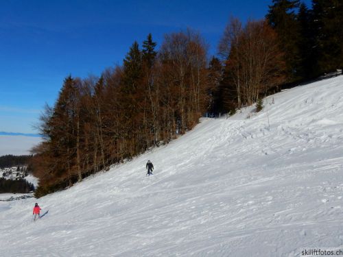 20190206-gibloux-126.jpg