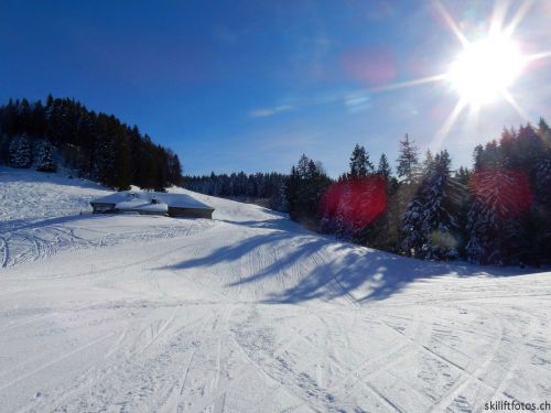 20190206-gibloux-128.jpg