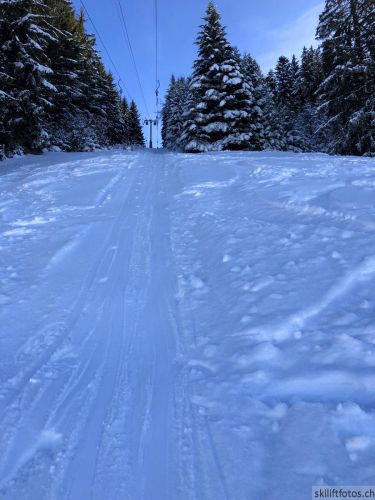 20190206-gibloux-136.jpg
