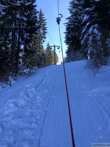 20190206-gibloux-137.jpg