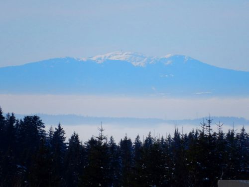 20190206-gibloux-139.jpg