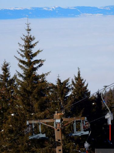 20190206-gibloux-148.jpg