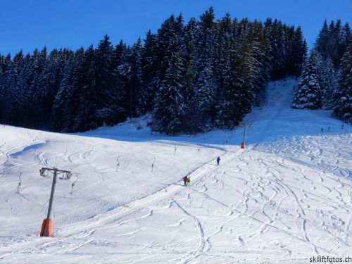 20190206-gibloux-155.jpg