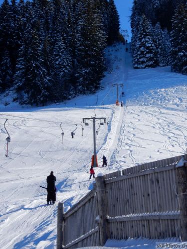 20190206-gibloux-157.jpg