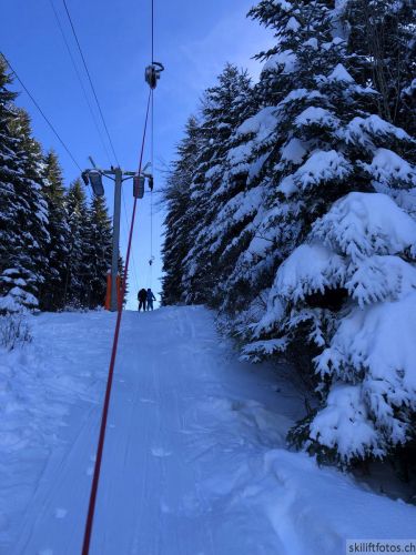 20190206-gibloux-158.jpg