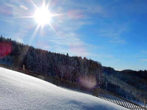 20190206-gibloux-161.jpg